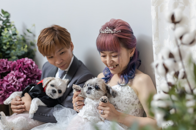 ワンちゃんも可愛い衣装を着て撮影！