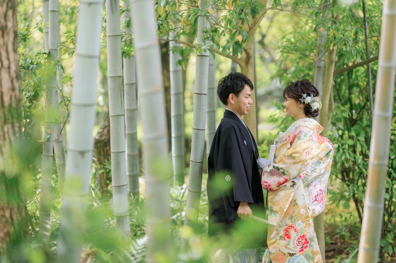 竹林での緑豊かな撮影