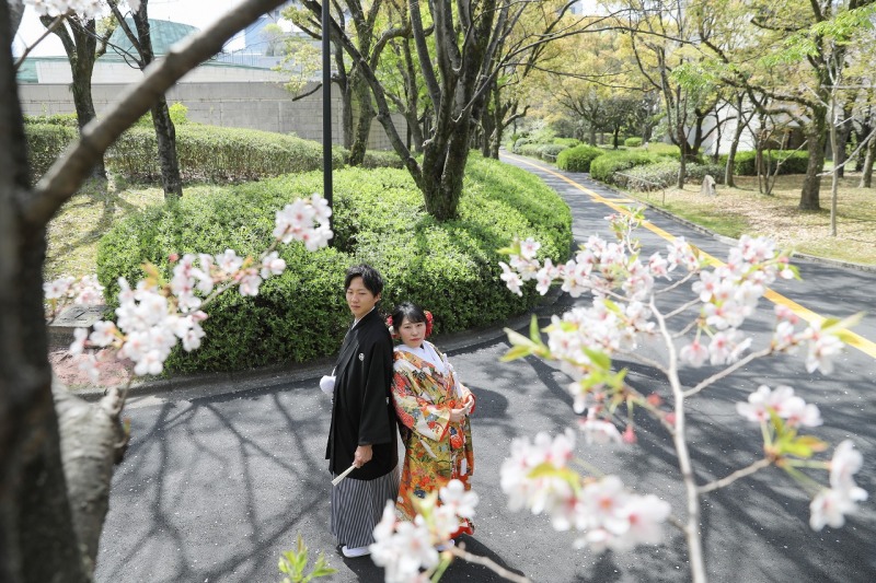 春は桜が満開です!