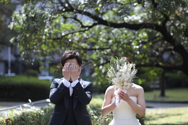 新緑に差す暖かい日差し