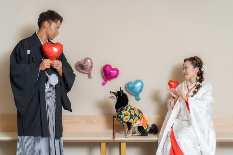 可愛さあふれる！ペットと撮影♪