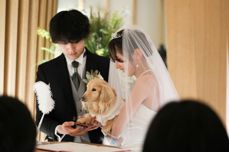 愛犬に立会署名