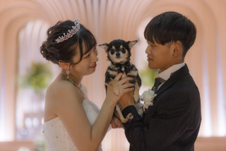 ペットとの撮影