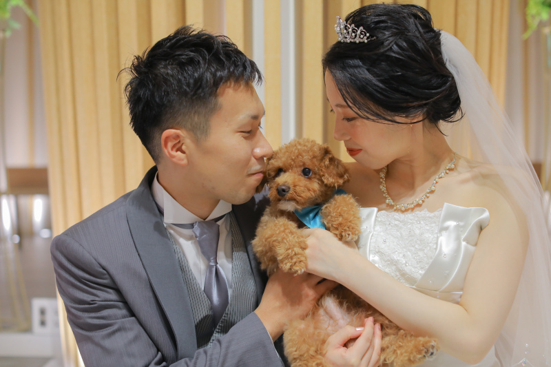 ★ご両家親御様への台紙付き★〔基本料金50%OFF〕ドレス1着撮影プラン(50カットデータ&台紙2冊込)