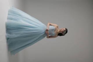 トップス刺繍チュールドレス（ED61013）