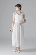 シルバーレース(WD11670)