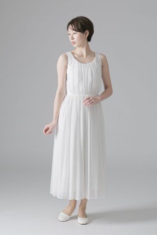 シルバーレース(WD11670)