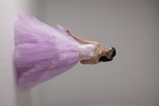 トップス刺繍ランダムタック 刺繍散りばめ（ED60989）