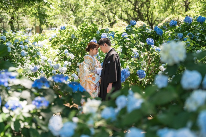 紫陽花の中で!!