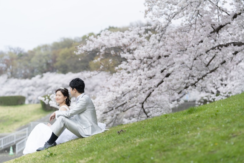 朝は雨が降っていました
