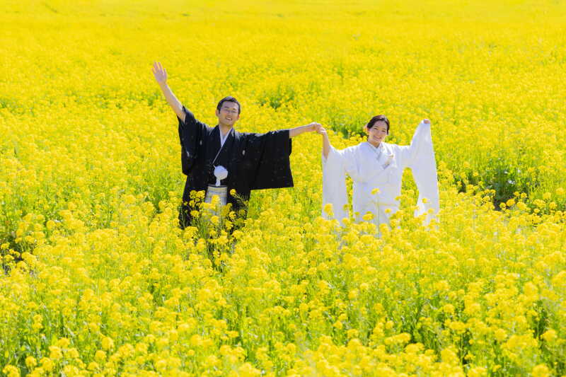 一面菜の花の中で