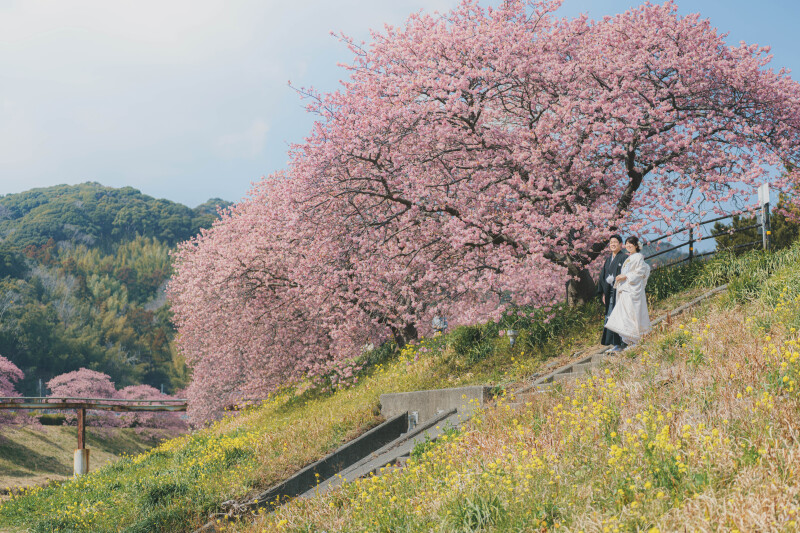 圧 巻の