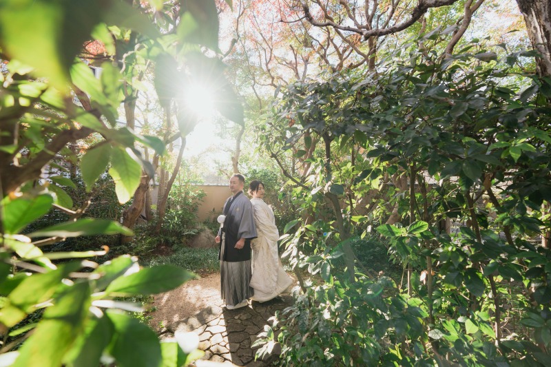 緑の木木に囲まれて