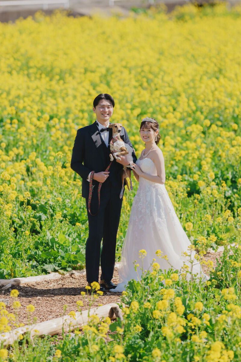 今回は菜の花と海と灯台で撮れる場所のご紹介です!