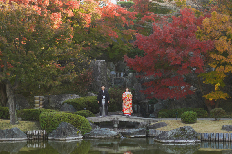 紅葉真っ盛り。