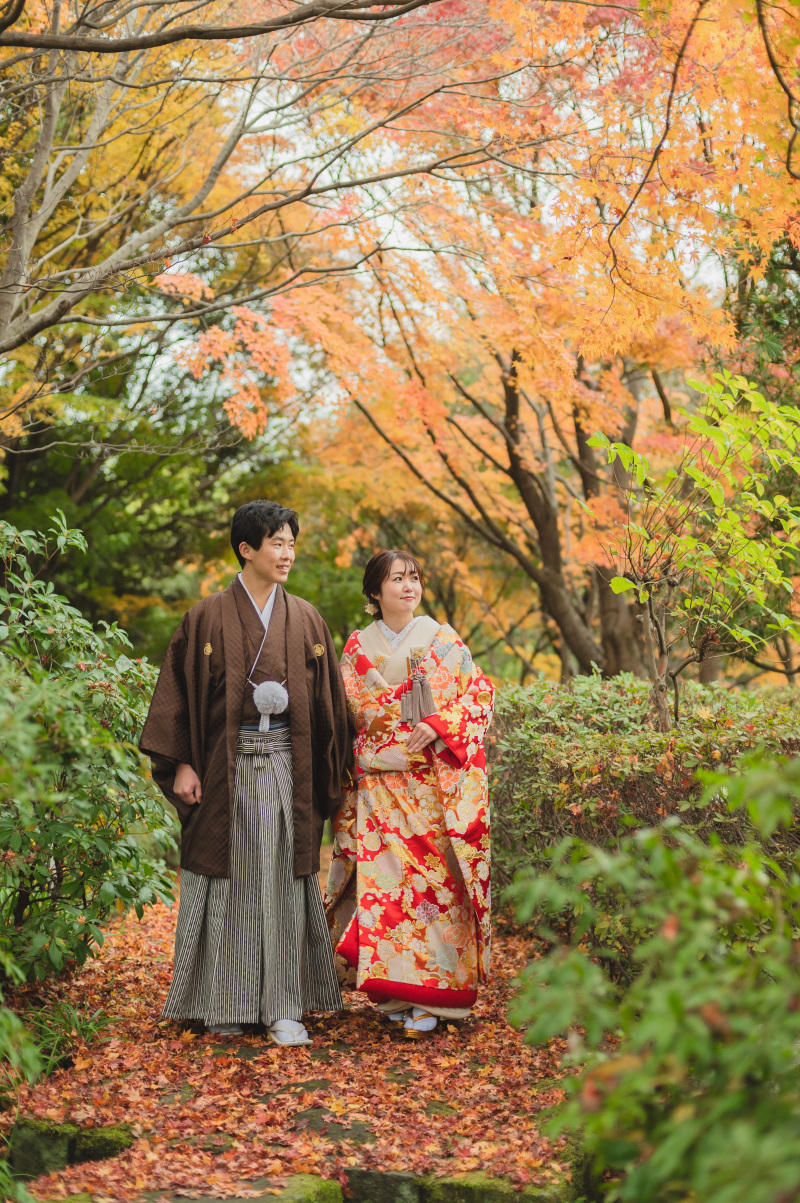 紅葉のトンネル!