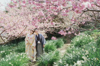 伊豆で自然を満喫！