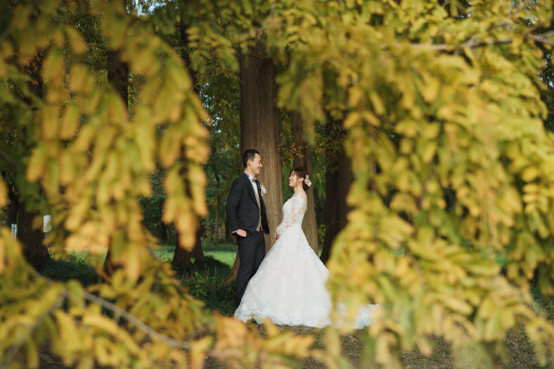 葉っぱの隙間から