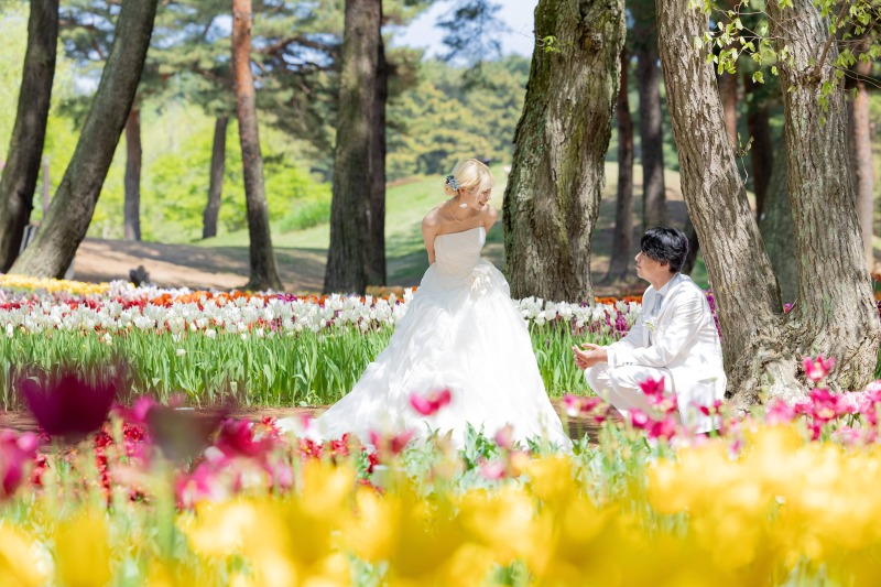 華やかなチューリップと