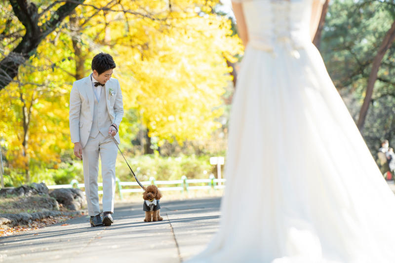 ワンちゃんとの撮影もOK！