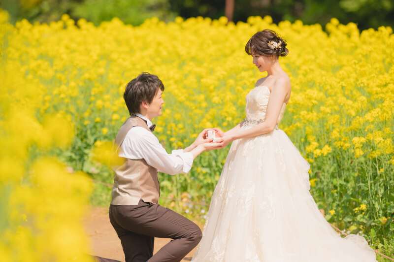 菜の花の前でプロポーズシーン!