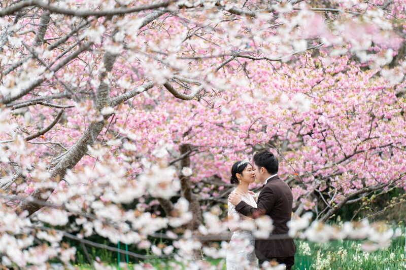 色鮮やかなピンクで