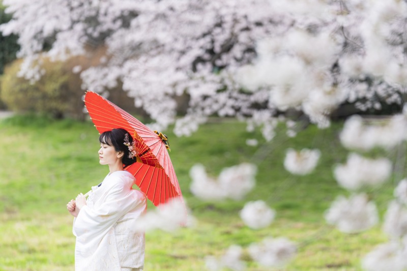 雨上がりの桜撮影でした♪