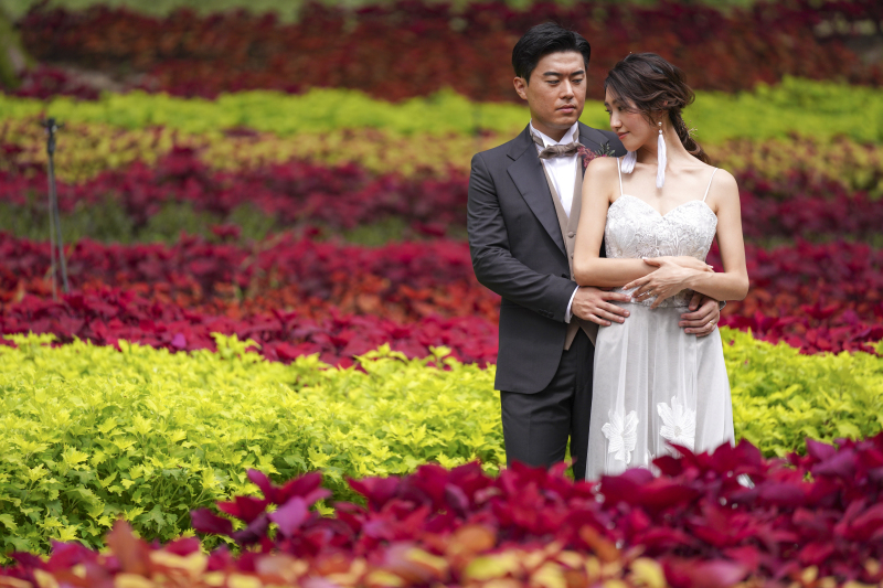 コリウスが見頃です!