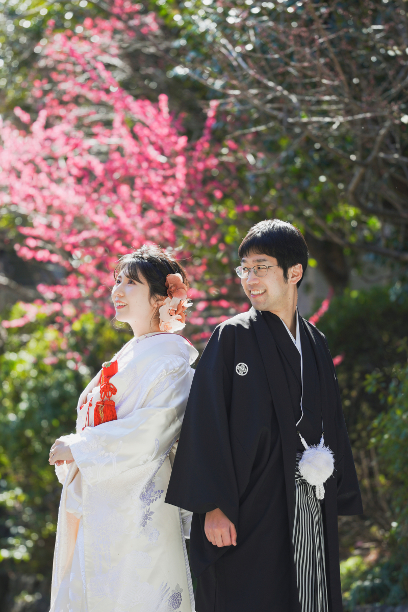 綺麗な梅の色。
