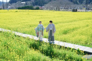 河津桜ロケーション
