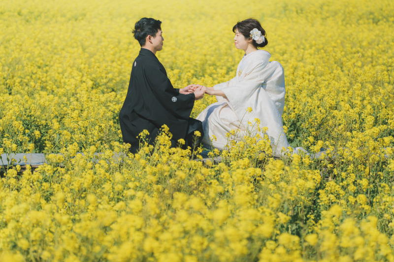 一面菜の花畑