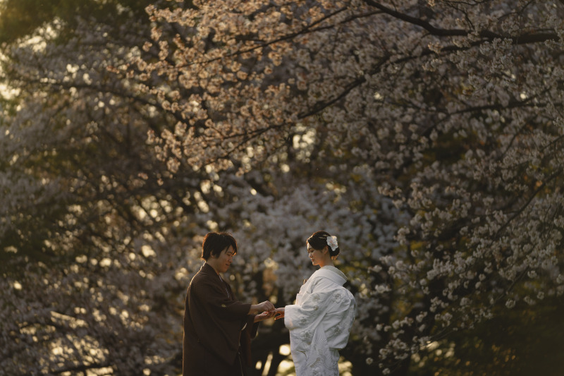 夕陽と桜
