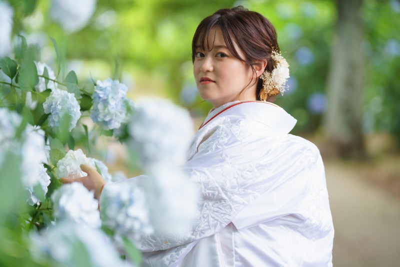 紫陽花に触れて