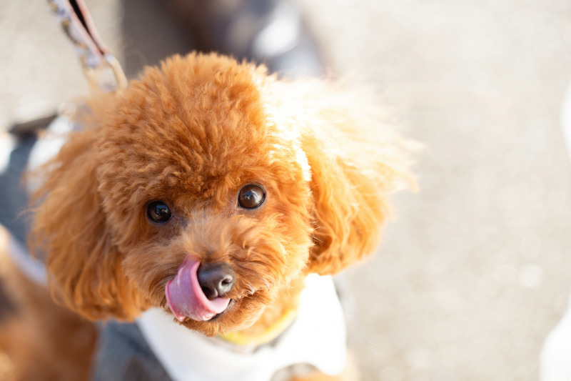 かわいい！！！