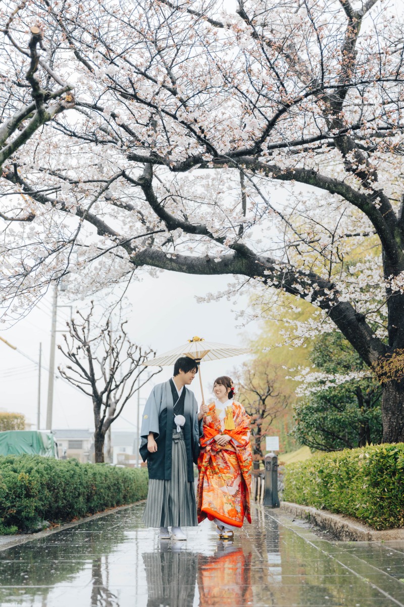 雨の日だからこそ