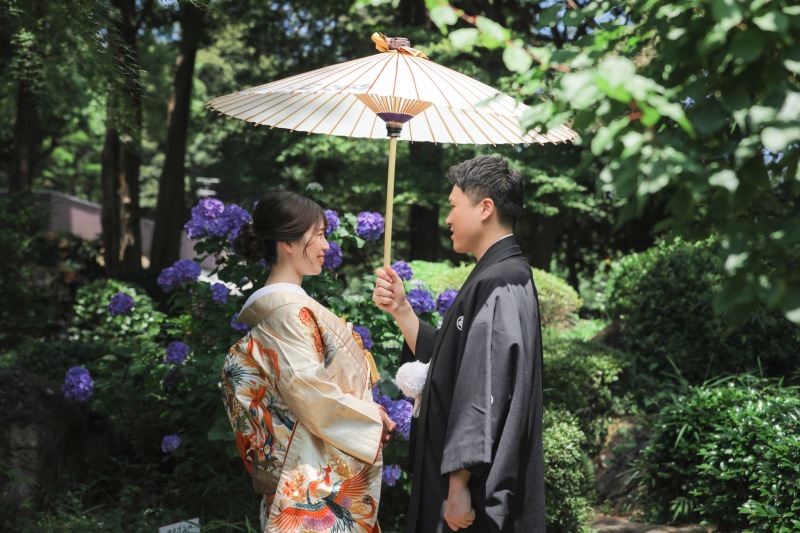 紫陽花×番傘