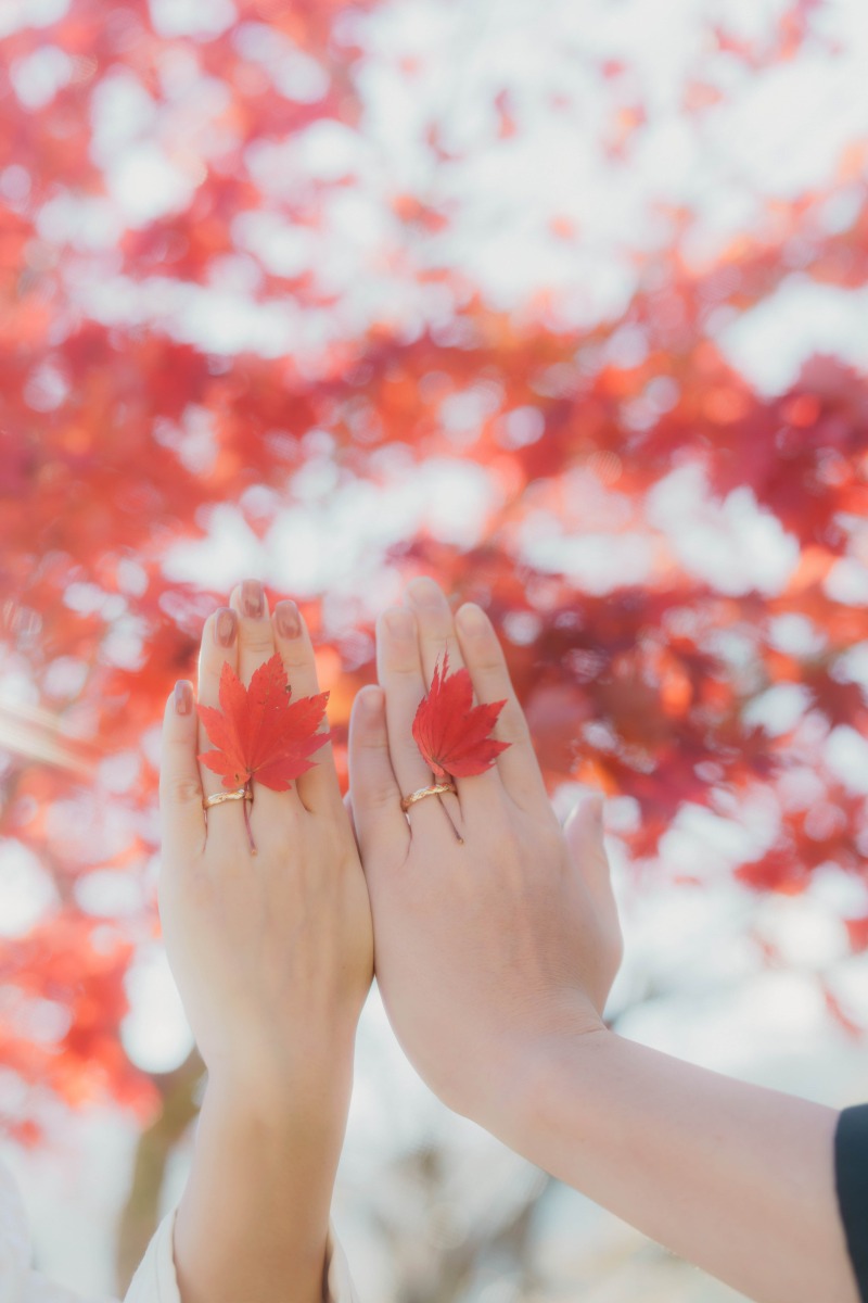 お手元のカット