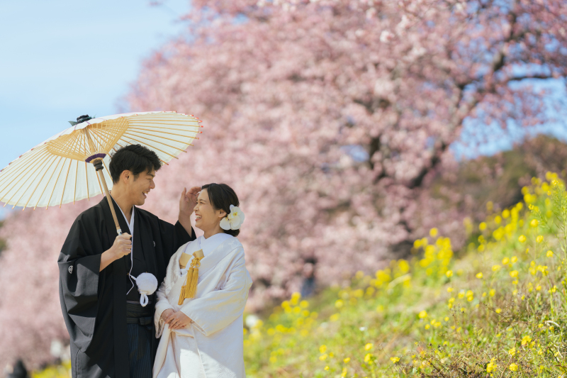 菜の花×河津桜