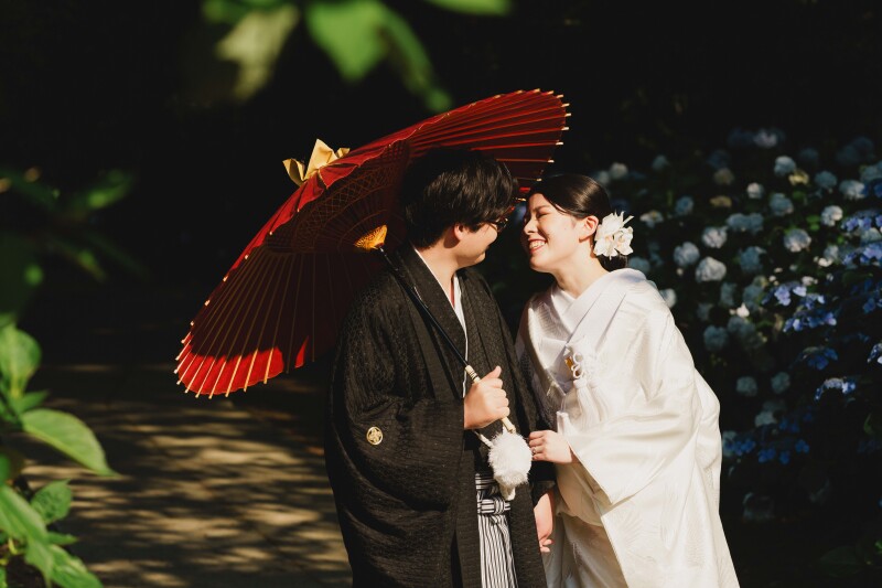 奥に続く木漏れ日と浮かび上がる紫陽花