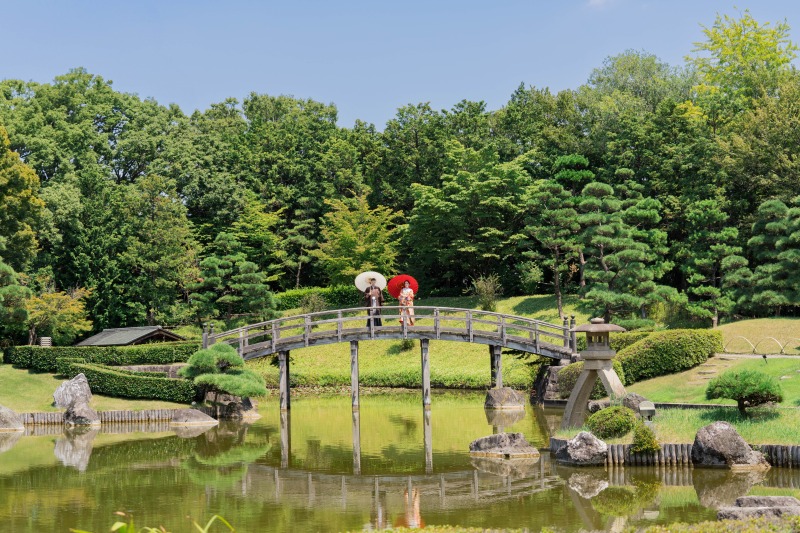 遠くからのカットも