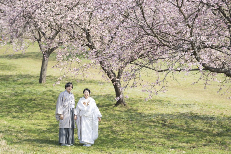 木漏れ日が綺麗！