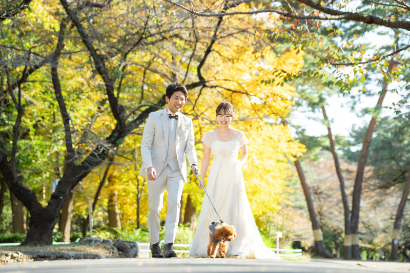 お散歩しながら