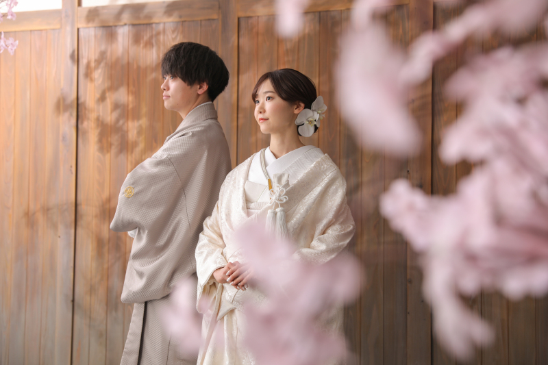 桜も一緒に