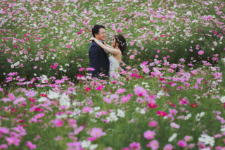 ひたち海浜公園ロケーション&海ロケーション