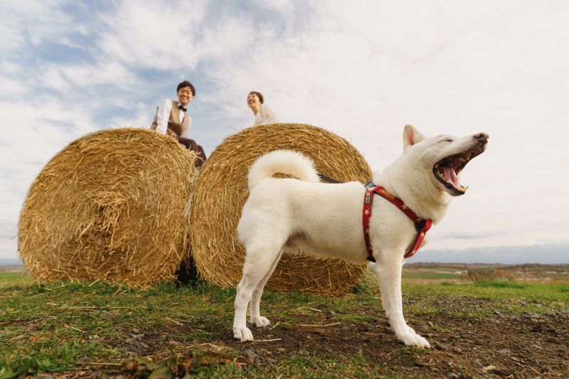 愛犬と一緒に