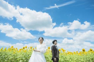 ！！快晴！！蓮田ひまわり畑！！