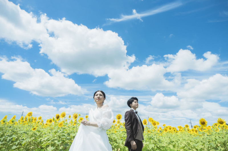 !!快晴!!蓮田ひまわり畑!!