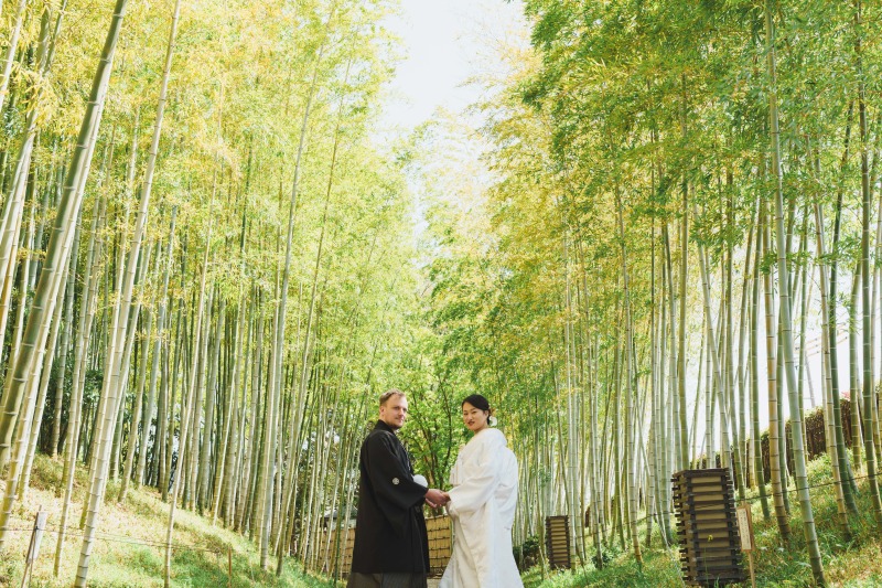 竹林をいっぱいに