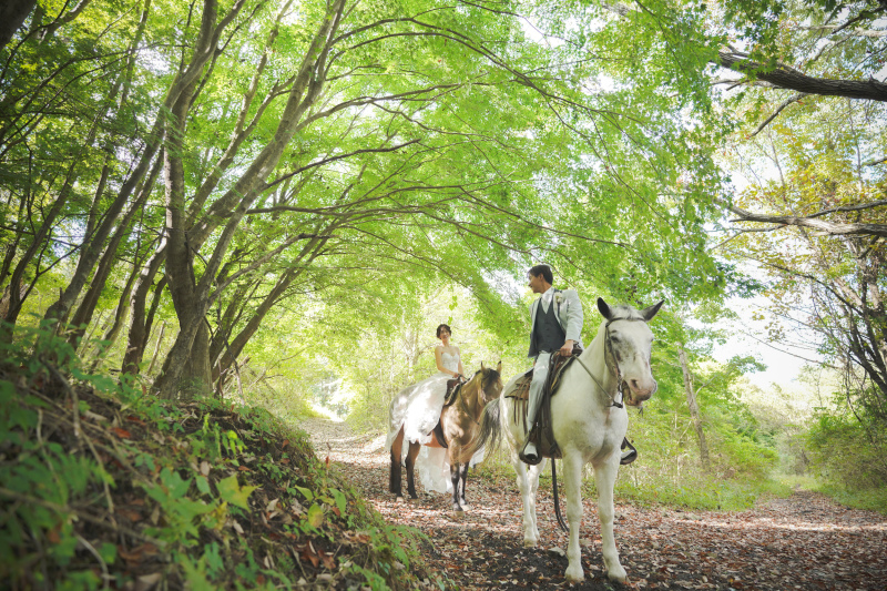 ロマンチックな一枚