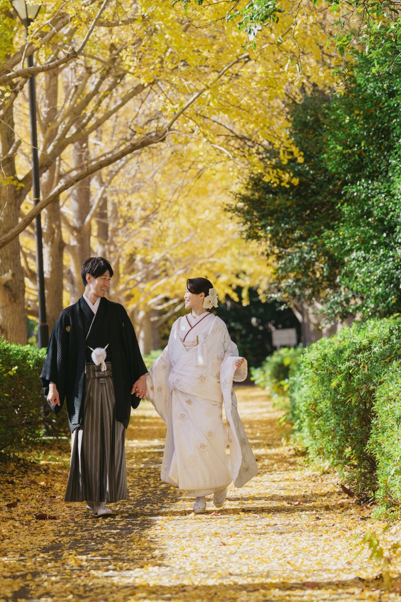 イチョウ並木で